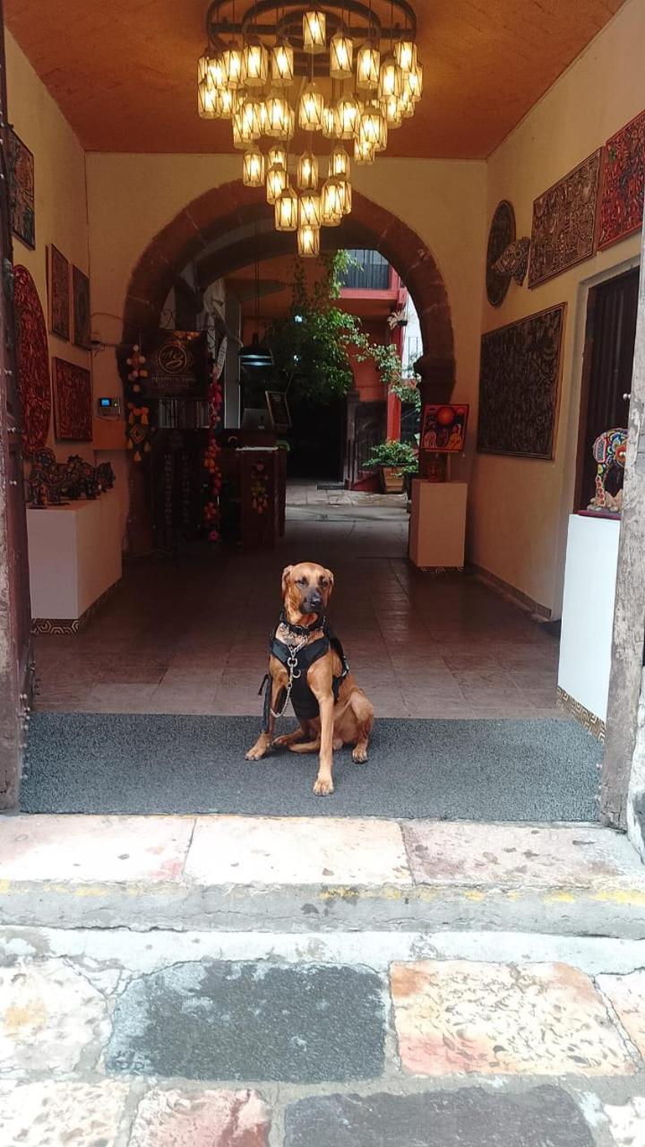 Aparthotel Sarita Centro Historico Sma San Miguel de Allende Eksteriør billede